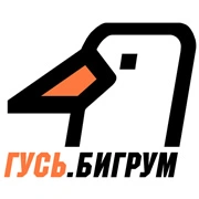 Радио ГУСЬ.Бигрум